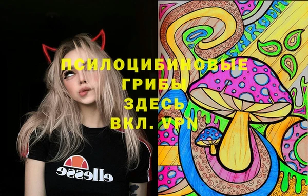 гашик Балахна