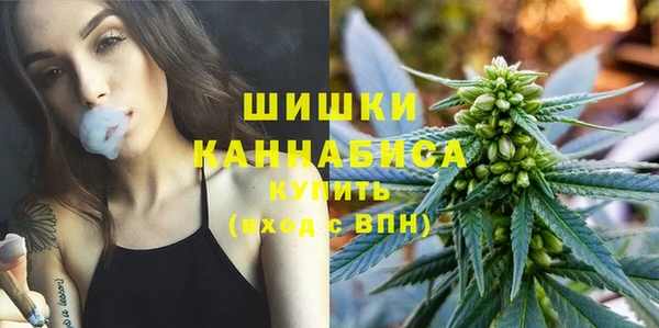 ГАЛЛЮЦИНОГЕННЫЕ ГРИБЫ Бикин