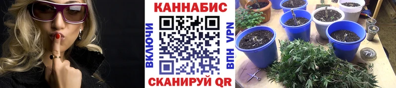 блэк спрут   магазин продажи наркотиков  Котово  Каннабис Amnesia 
